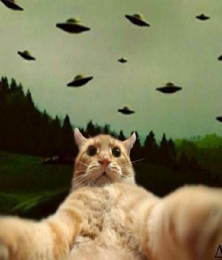 Аватар пользователя roott